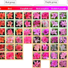 A Classification Of Flower Color According To The Japan