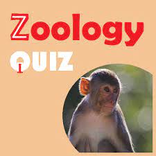 From the ectoderm of the embryo, the nervous tissue develops. Zoology Quiz