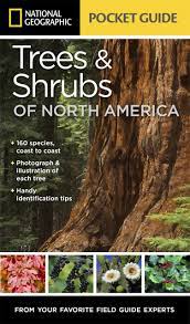 Tree identification book by george w. Trees Shrubs Of North America Nhbs Field Guides Natural History