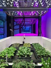 Our grow light calculator provides an accurate way to analyze and compare different grow light fixtures. Erik Runkle Light Science Growing Plants Indoors Annual Bedding Plants