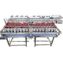 Blueberry Packing Machine Solutions