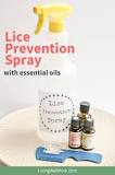 Image result for how do i make my own head lice treatment using rosemary oil