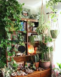More Plants Please Boho Home Decor Room With Plants Plant Decor Plants