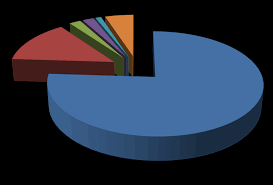 Truckee Donner Chamber of Commerce Visitor Profile Study