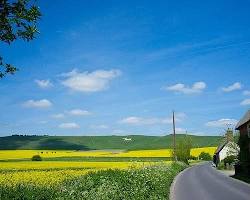 Image of Montpelier's picturesque landscape, showcasing rolling hills, forests, and carefully preserved agricultural fields