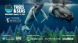 Check spelling or type a new query. Ending Plastic Pollution Fostering Sustainability Plasticoceans Org