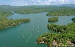 Image result