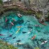 Gold head branch state park, a florida state park, is just shy of 2400 acres (8 km²) of rolling sandhills, marshes, ravines, lakes and scrub located midway between gainesville and jacksonville, six miles (10 km). 1