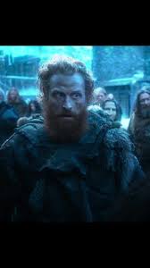 Marcus El-Shamma (@marcusmaxelshamma)