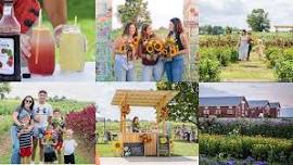 Flower Festival at The Pickwick Place