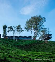 Cameron highland was developed from a steep slope jungle to a tourist attraction, inviting a huge number of tourists to malaysia and hence increased the. Visit Our Tea Gardens Boh Tea