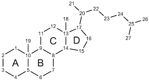 All steroids will have a negative effect on cholesterol levels, increasing ldl and decreasing hdl scores. Microorganisms Free Full Text Microbial Hydroxysteroid Dehydrogenases From Alpha To Omega Html