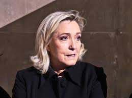 Frankreich: Le Pen fordert Distanzierung der AfD von Idee der "Remigration" 