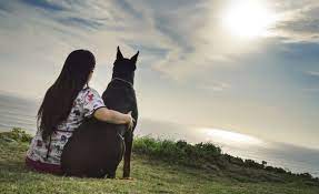 We did not find results for: 100 Dog Names That Mean Hope