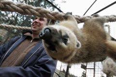 Exotický nosál červený se v těchto dnech prochází okrajovými částmi hradce králové. Nosal Cerveny Aktualne Cz