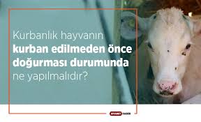 Haberleri Haber Gundem Haberler Son Dakika