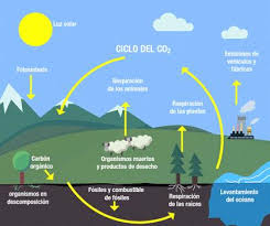 En otras palabras, la energía del sol produce la evaporación, de tal forma que el agua del mar y de los ríos se evapora a través de. El Ciclo Del Agua Home Facebook