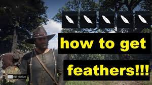 Red Dead Redemption 2 How To Get Feathers Youtube