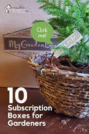 10 Great Plant Subscription Boxes Who To Gift Them To Plants Outdoor Flowers Best Garden Tools