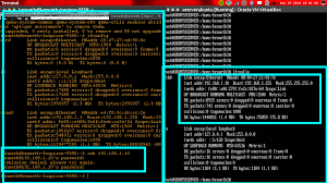 This will connect to the server via ssh with the username user and the default ssh port 22. Networking Gnome Terminal Connect Via Ssh From Ubuntu Desktop 14 04 Into Ubuntu Server 14 04 Virtual Box Guest Host Ask Ubuntu