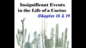 Insignificant events in the life of a cactus. Insignificant Events In The Life Of A Cactus Ch 18 19 Youtube