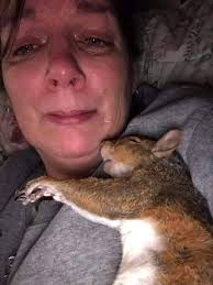 Wow.........Absolutely beautiful