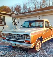 Image result for Mink Brown 1984 Dodge
