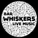 Echo Town: Whiskers Newquay