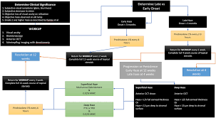 Corneal Opacity - Wikipedia