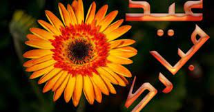 Free Eid Ul Zuha Adha Zuha Mubarak 2012 E Card Sun Flower Hd Wallpapers Urdu Text Top Hd Wallpapers Eid Mubarak Flowers Fresh Flowers