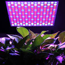 Finnex planted+ 24/7 led klc aquarium led light. Excelvan 14w 225 Led Hydroponic Plant Grow Light And Lighting Panel Full Spectrum For Plant Flower Vegetable Greenhouse Garden 135red 60blue 30white Walmart Com Walmart Com