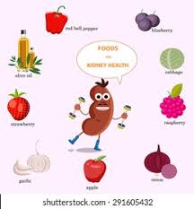 Here's a look at the top 10 foods high in iron. Kidney Cartoon Foods Illustration Vector Stock Vector Royalty Free 291605432