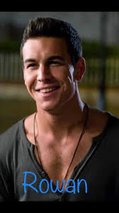 #dreamlandbillionaires #kanes #rowankane #declankane #calkane #thefineprint  #termsandconditions #thefinaloffer #booktok #fanart @laurenasherbooks