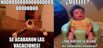 Memes de regreso a clases, los más chistosos 2021. Rie Con Los Mejores Memes Del Regreso A Clases Fotos La Neta Noticias