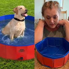 The project was consistently delayed and the workmanship very poor. Extra Large Dog Pool Expectationvsreality