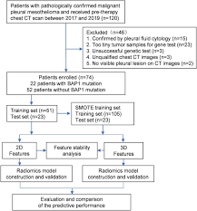These types of cancer spread more quickly and aggressively. Development Of Unenhanced Ct Based Imaging Signature For Bap1 Mutation Status Prediction In Malignant Pleural Mesothelioma Consideration Of 2d And 3d Segmentation Lung Cancer