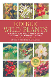 Before you eat anything in the wild, it's wise to get a qualified instructor to show you the. Edible Wild Plants A North American Field Guide By Thomas Elias