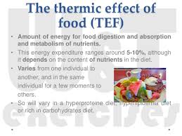 Check spelling or type a new query. Energy Expenditure
