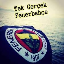 Can Adli Kullanicinin Fb1907 Panosundaki Pin Gercekler