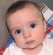 Inside Erskine 2015 by Erskine College