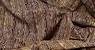 Rustic Upholstery Fabric