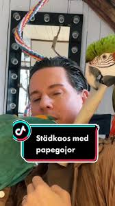 Elecktrarobin Papegojor