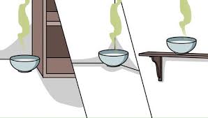 How do you neutralize skunk spray? Pin On Skunk