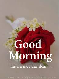 There are lot of ways to wish a good morning like sending good morning text messages, sending good morning images for whatsapp and sending e greetings, and sending good morning pics is the most popular way to wish a good morning, many peoples search on the google for the term good morning wishes with flowers. 89 Good Morning Images With Rose Flowers Free Download