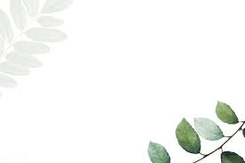 ✓ free for commercial use ✓ high quality images. Download Premium Vector Of Tropical Botanic Leaves Background Illustration Leaf Background Flower Background Wallpaper Floral Wallpaper Desktop