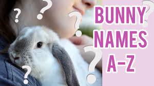 It would make the perfect choice for a sweet, affectionate female rabbit. What To Name My New Bunny Cute Bunny Names A Z List Youtube