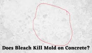 Even the clorox company who manufactures bleach has a section on their website where they will tell you how to kill. Does Bleach Kill Mold On Concrete Floor Techie
