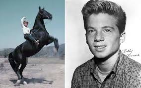 The Real "Old Falls Street" People