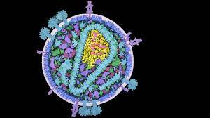 Curing Hiv Just Got More Complicated Can Crispr Help Science Aaas
