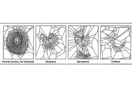 We did not find results for: Starbucks And Spider Webs American Council On Science And Health